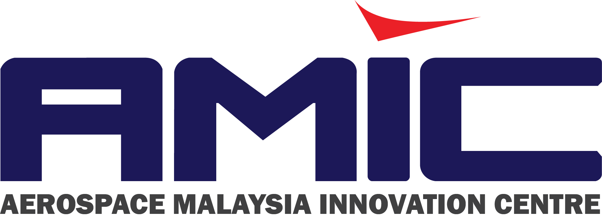 2020 AMIC LOGO